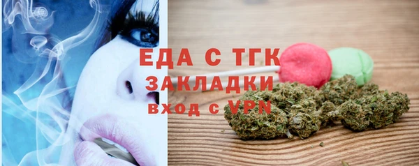 дживик Сясьстрой