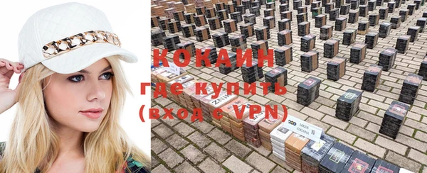 стаф Волосово