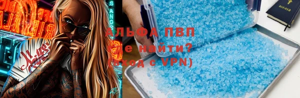 стаф Волосово