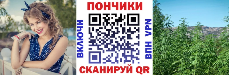 купить закладку Боровичи KRAKEN tor Канабис конопля